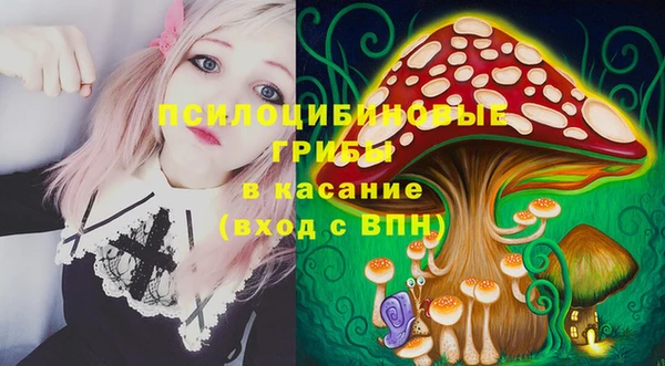 круглые Бронницы
