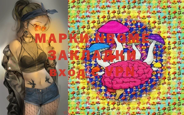 сатива Зерноград