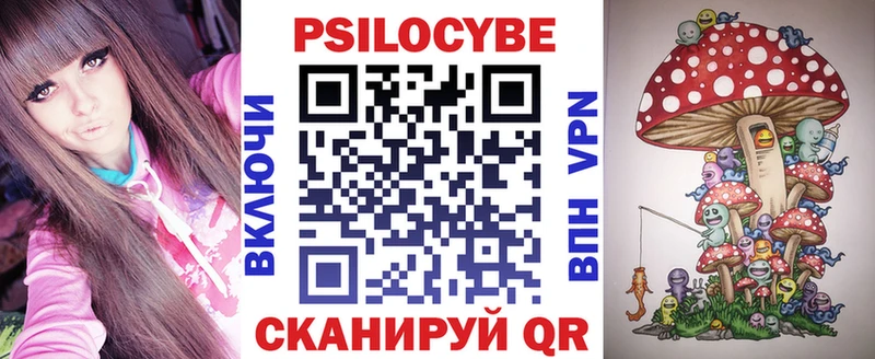 darknet как зайти Городовиковск Галлюциногенные грибы MAGIC MUSHROOMS